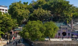 69视频国产免费,揭秘热门国产影视资源平台